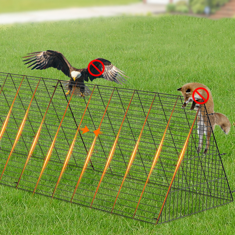 На открытом воздухе большая утиная курятника курятника для двора На открытом воздухе большая утиная курятника курятника для двора