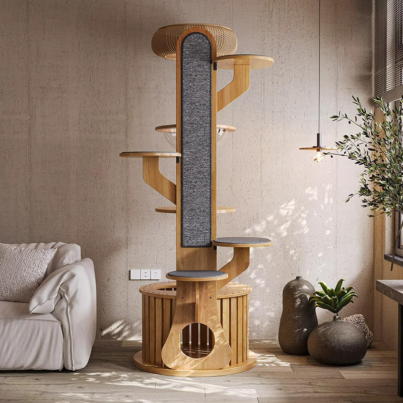 Кактус формы деревянная рама для скалолаза Кактус формы деревянная рама для скалолаза