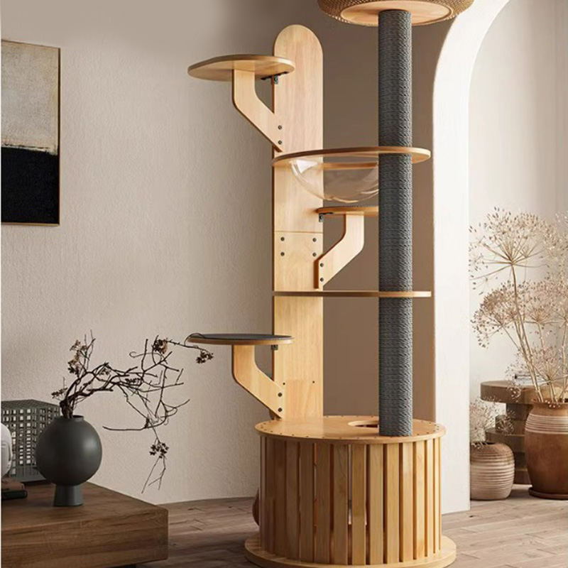 Кактус формы деревянная рама для скалолаза Кактус формы деревянная рама для скалолаза