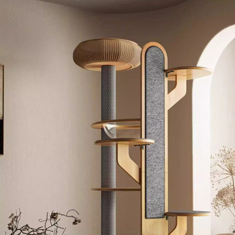 Кактус формы деревянная рама для скалолаза Кактус формы деревянная рама для скалолаза