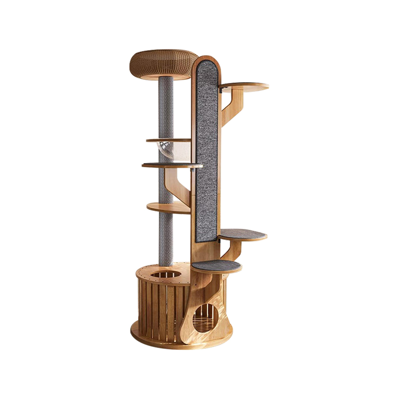 Кактус формы деревянная рама для скалолаза