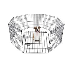 Как выбрать правильный размер и функции клетки для разных домашних животных?